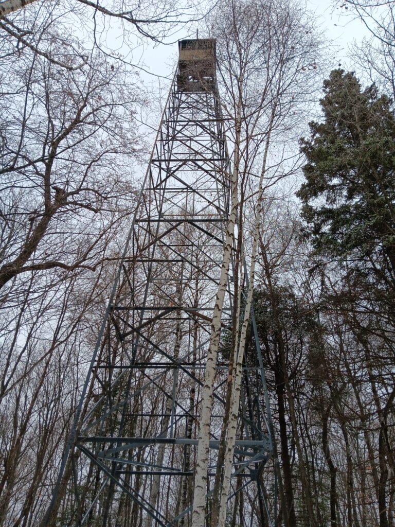 Photo of a disused fire tower surrounded by mostly deciduous trees and a few conifers. No leaves to be seen.